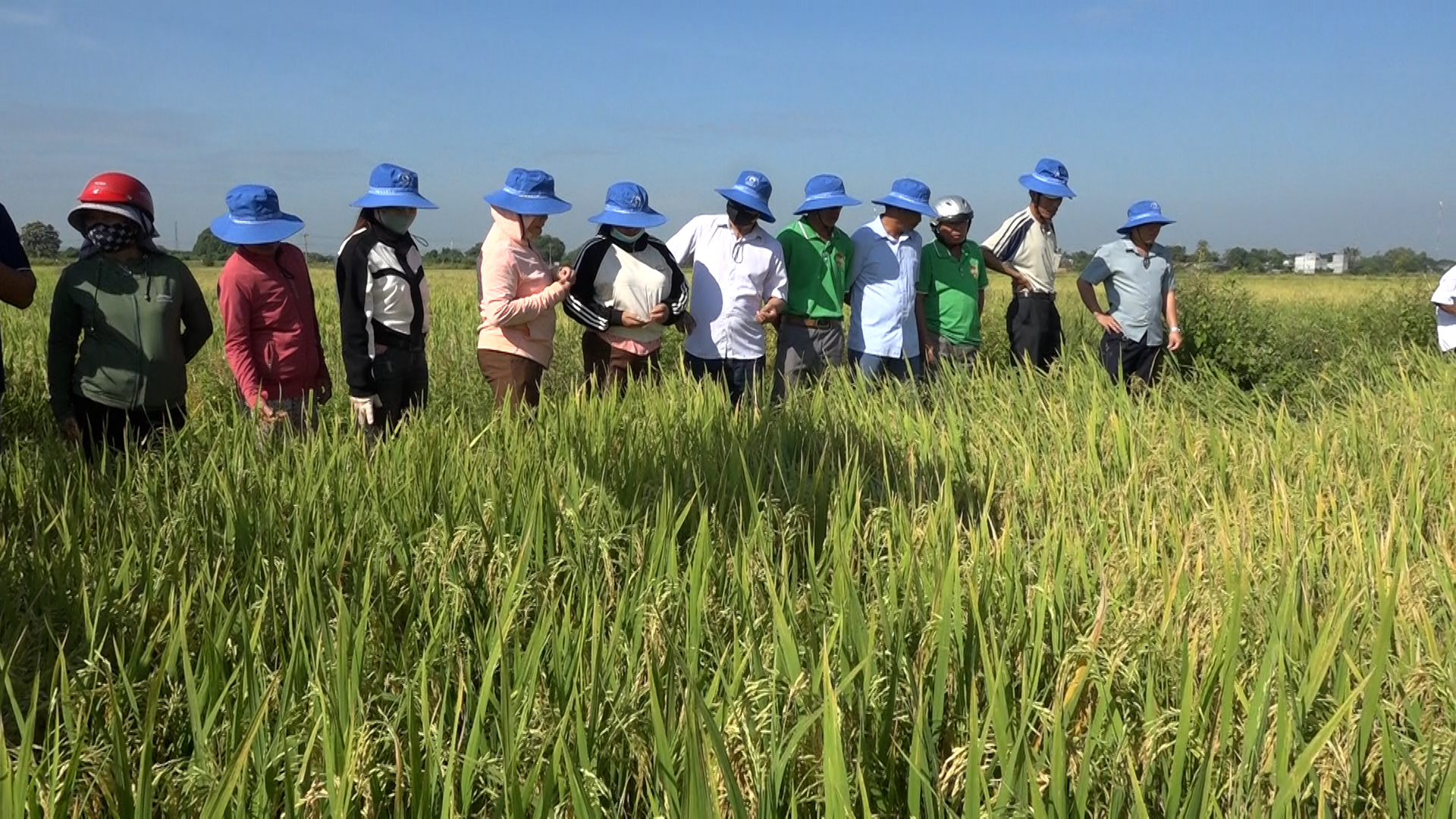 hội viên nông dân tham gia các lớp tập huấn, hội thảo chuyển giao KHKT